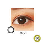 BIONICS iColoris PICTORIS Monthly Color Contact Lenses (2 pcs)
